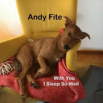 With You I Sleep so Well by Andy Fite