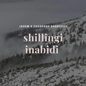 SHILLINGI INABIDI by Jahem