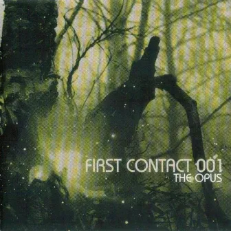 First Contact 001 by The Opus