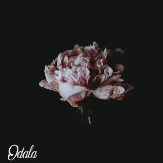 Goodbye by Odala