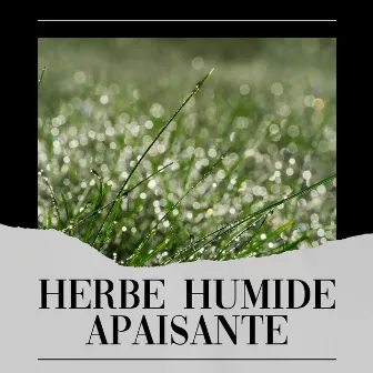 Herbe Humide Apaisante by Hi-Def FX