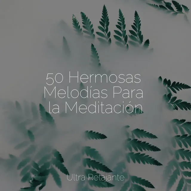 Meditação Yoga Maestro