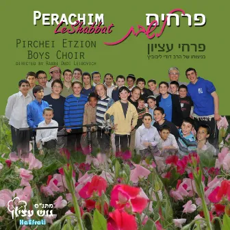 Perachim LeShabbat by Lipa Glantz