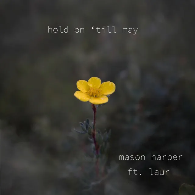 Hold on 'till May