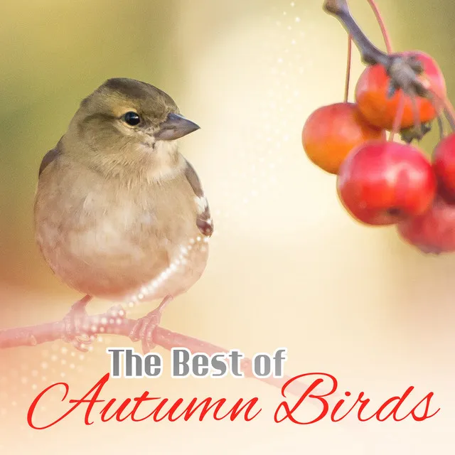 The Best of Autumn Birds (Relaxing Nature Music for Meditation, Relaxation and Deep Sleep, Serenity, Calmness and Bliss)