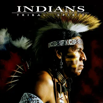 Tribal Spirit by Indians