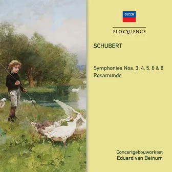 Schubert: Symphonies 3, 4, 5, 6, 8; Rosamunde by Eduard van Beinum