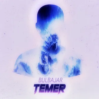 Temer by Bulbajar