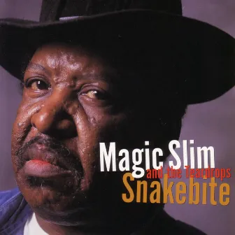 Snakebite by Magic Slim & The Teardrops