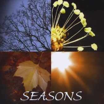 Seasons by Manfred