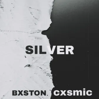 Silver by Bxston.