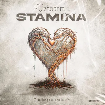 Stamina by Vehnorm