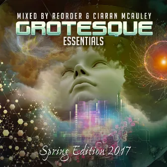 Grotesque Essentials Spring 2017 Edition by ReOrder