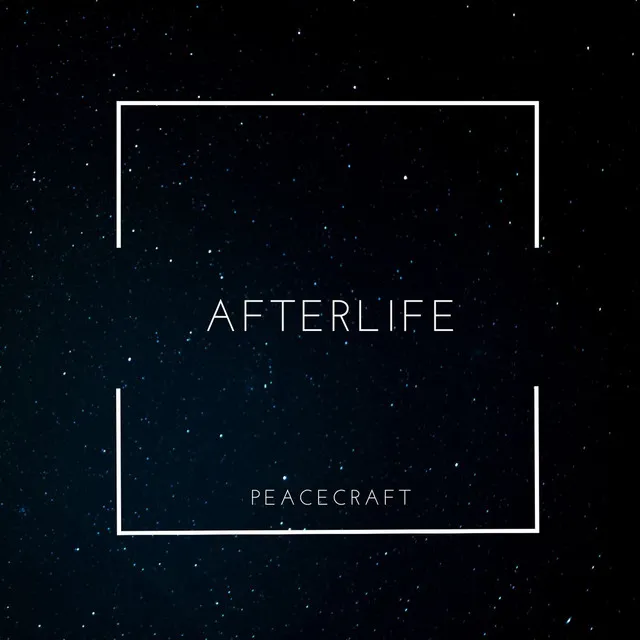 Afterlife