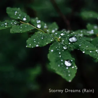 Stormy Rain by Stormy Dreams (Rain)