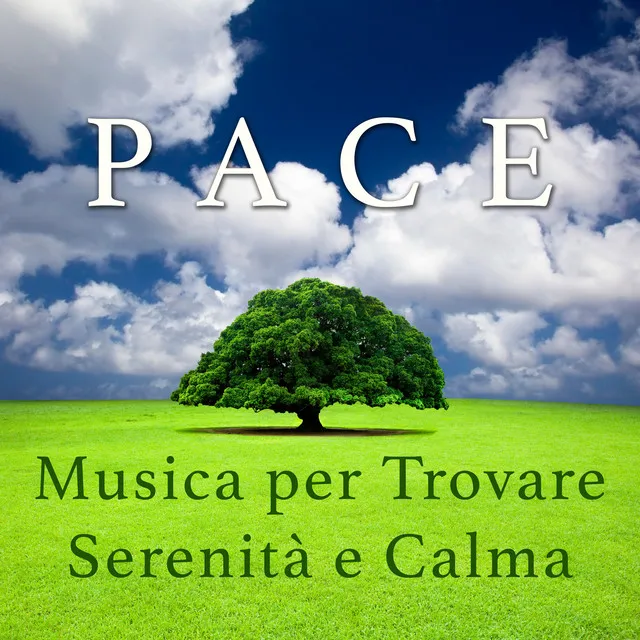 Pace - Musica per Trovare Serenità e Calma