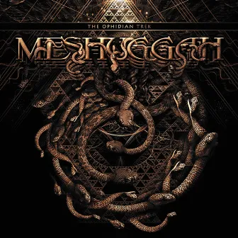 The Ophidian Trek (Live) by Meshuggah