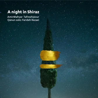 A Night In Shiraz by Amir Mahyar Tafreshipour