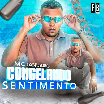 Congelando Sentimentos by Mc Januário