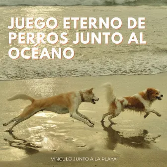 Juego Eterno De Perros Junto Al Océano: Vínculo Junto A La Playa by Oceanógrafos