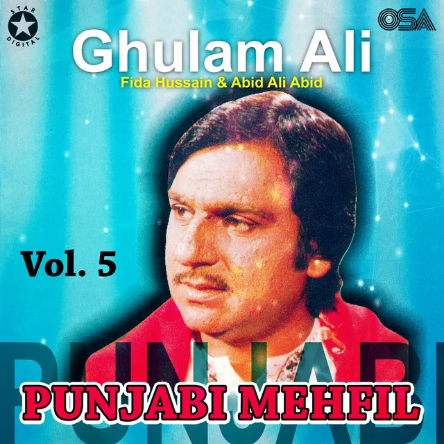 Punjabi Mehfil, Vol. 5