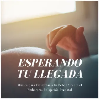 Esperando tu Llegada: Música para Estimular a tu Bebé Durante el Embarazo, Relajación Prenatal by Cuna Lullabies