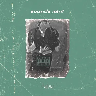 Pugland by sounds mint