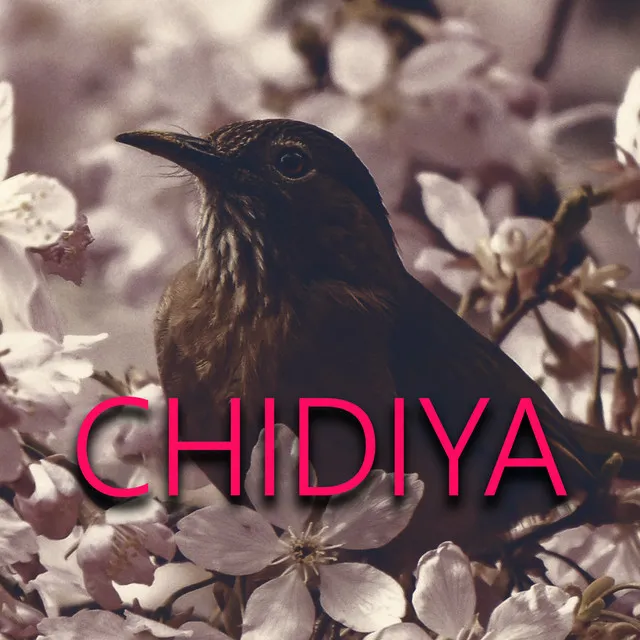 Chidiya