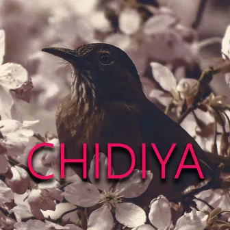 Chidiya by STELLA