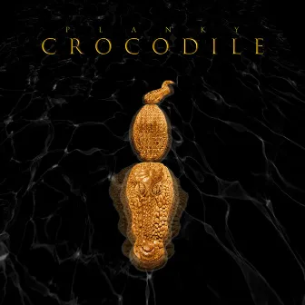 Crocodile by Planky