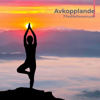 Avkopplande Meditationsmusik by Yin Yoga Academy