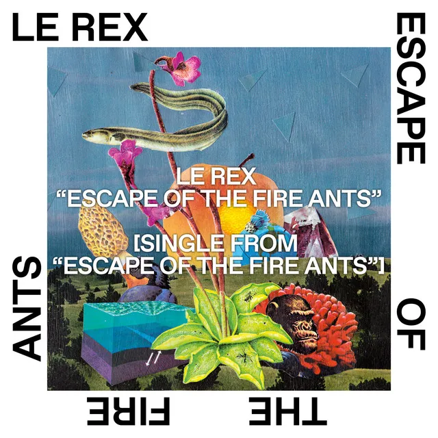 Escape of the Fire Ants