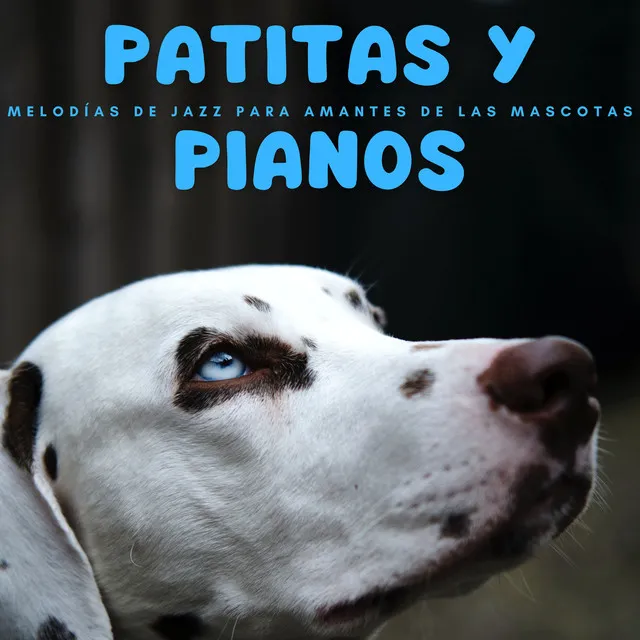 Jazz Para Amantes De Las Mascotas