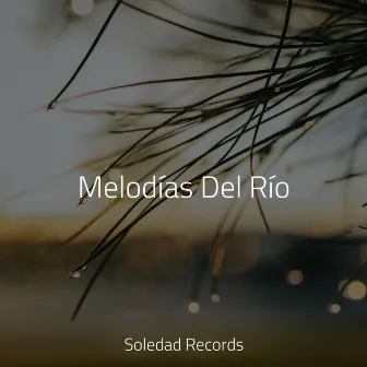 Melodías Del Río by Musica para Meditar Especialistas