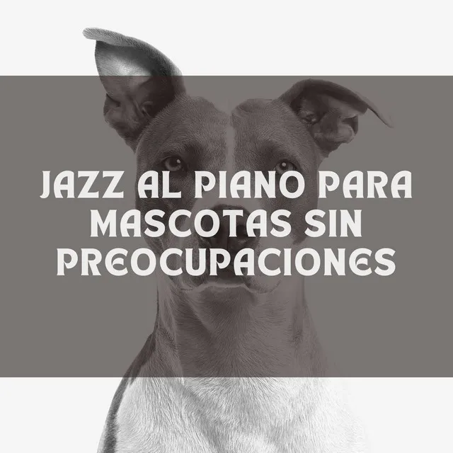 Compañeros De Piano