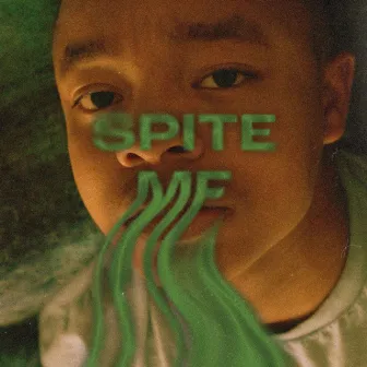 Spite Me by Lebo