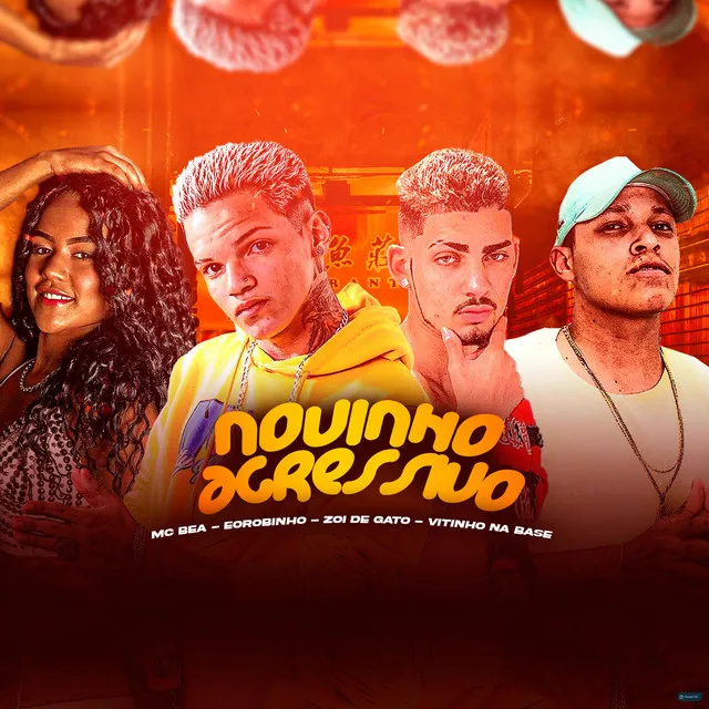 Novinho Agressivo (feat. É o Robinho & Mc Magrinho)