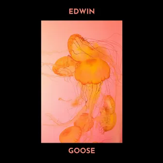 Goose by Edwin