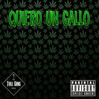 Quiero Un Gallo by A.R FRESH