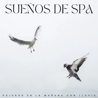 Sueños De Spa: Pájaros En La Mañana Con Lluvia by 