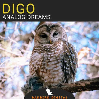 Analog Dreams by Digo