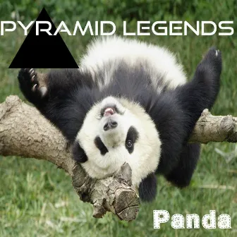 Panda by Pyramid Legends