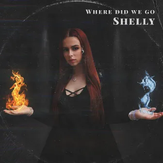 Where Did We Go by Shelly