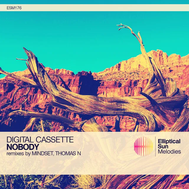 Nobody - Thomas N Remix