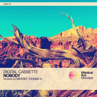 Nobody by Digital Cassette