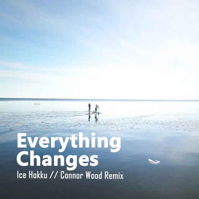 Everything Changes - Remix