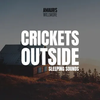 Crickets Outside (Sleeping | Relaxing Sounds) by AmaurisWill