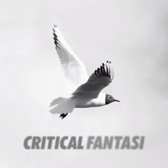 Fantasi by Critical