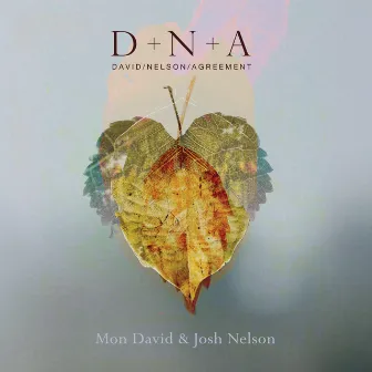 DNA - David / Nelson / Agreement by Mon David