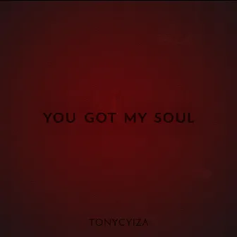 You Got My Soul by Tony Cyiza